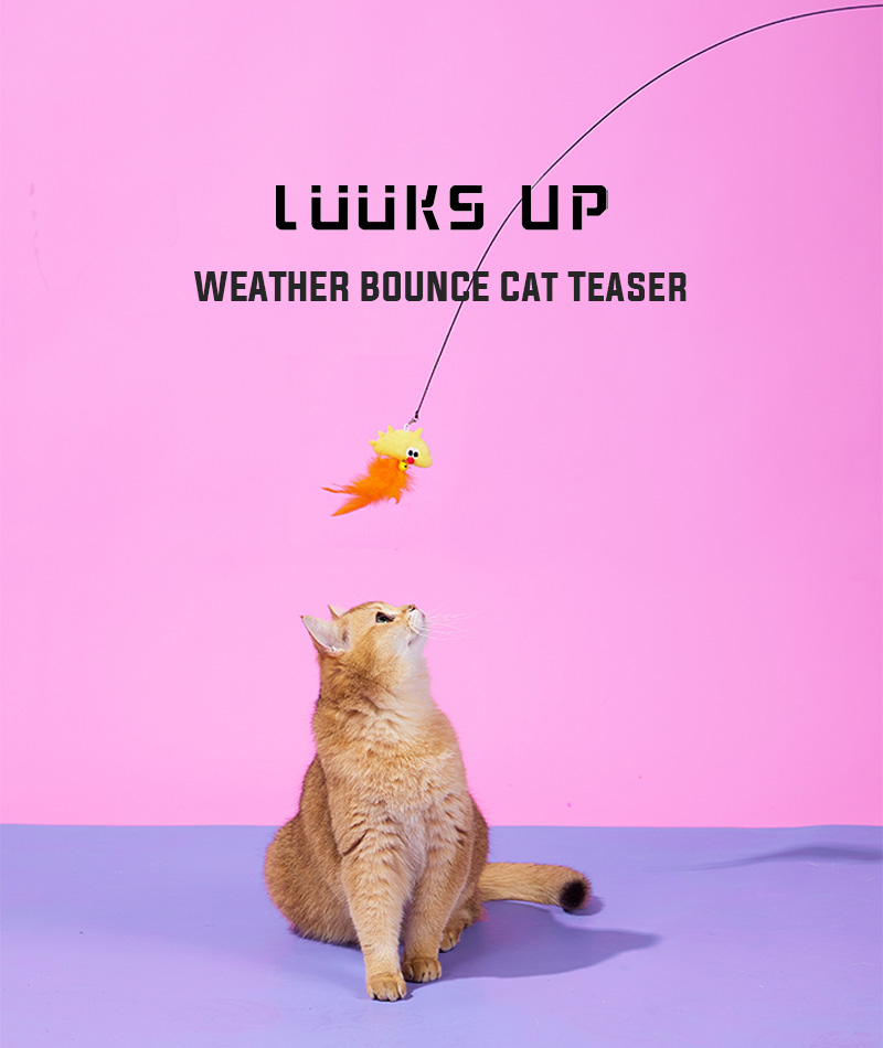 猫 おもちゃ かわいい おしゃれ 人気 プレゼント Luuks up WEATHER BOUNCE Cat Teaser Petifam