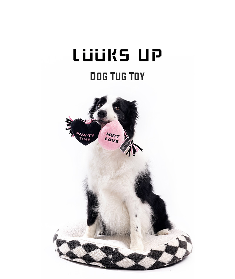 犬 おもちゃ ロープトイ カラフル おしゃれ 長持ち Luuks up Dog Tug Toy Petifam