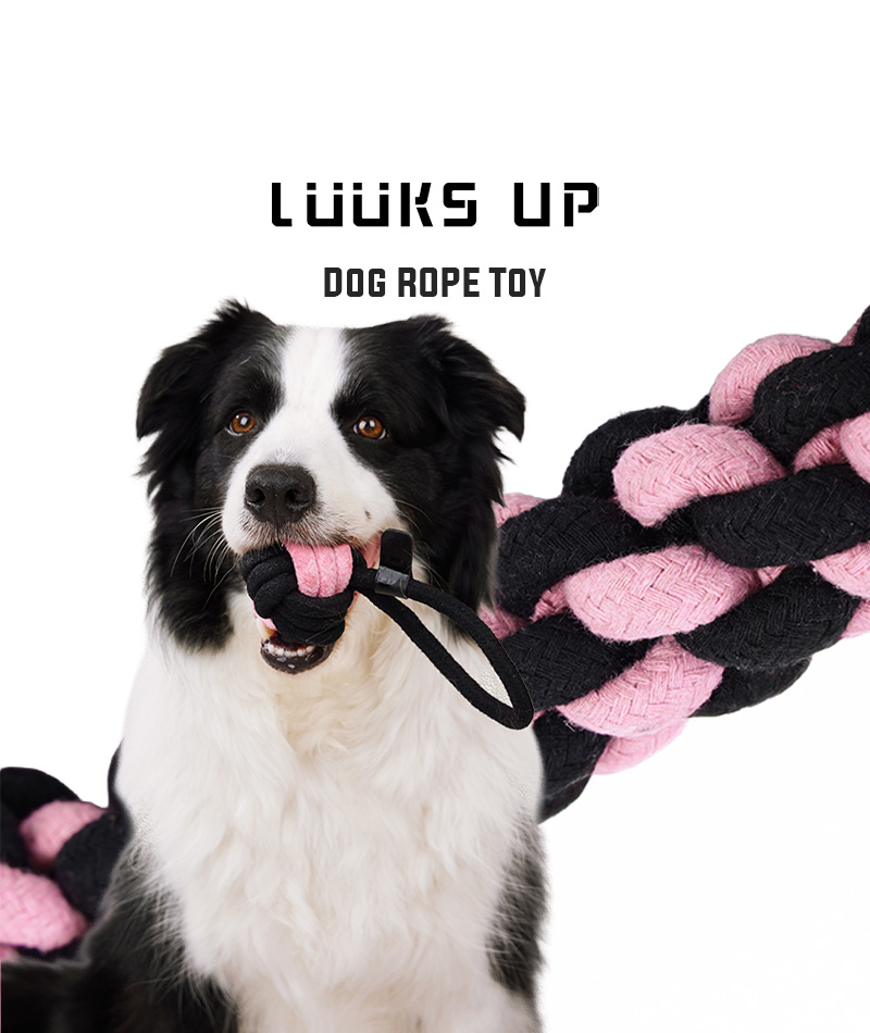 犬 おもちゃ ロープトイ カラフル おしゃれ 長持ち Luuks up Dog Rope Toy Petifam