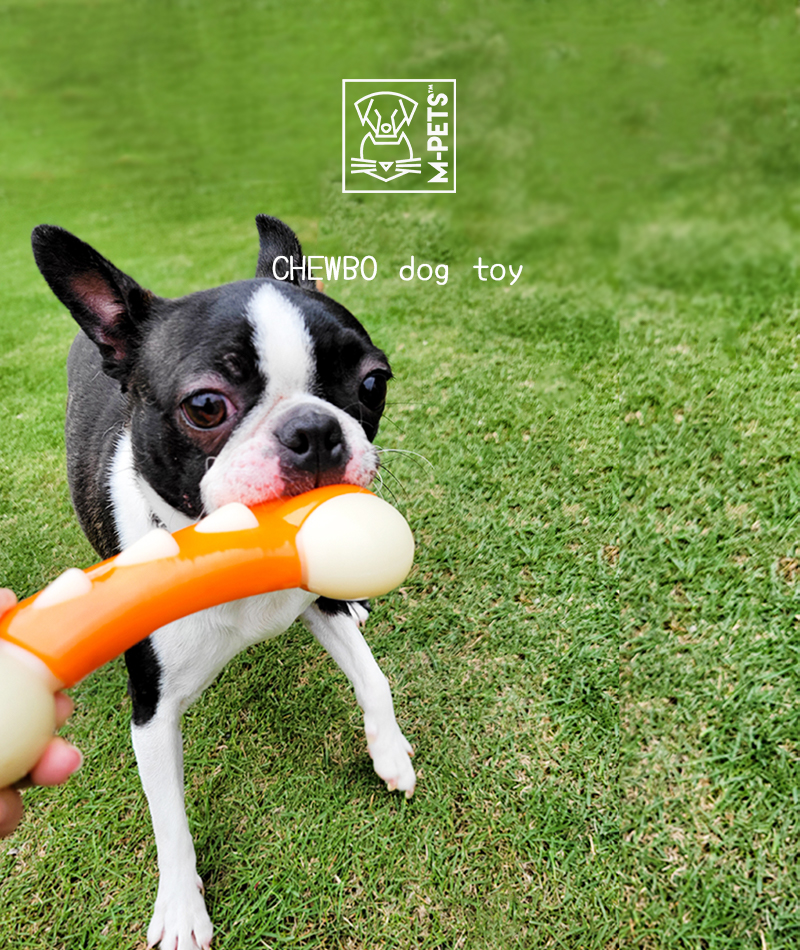 犬 デンタルトイ 歯磨き おもちゃ 甘噛み ストレス軽減 噛み癖予防 ベーコン フレーバー 丈夫 こわれにくい M-PETS CHEWBOドッグトイ レッグ トライボーン チョッピー オレンジ＆アイボリー Petifam